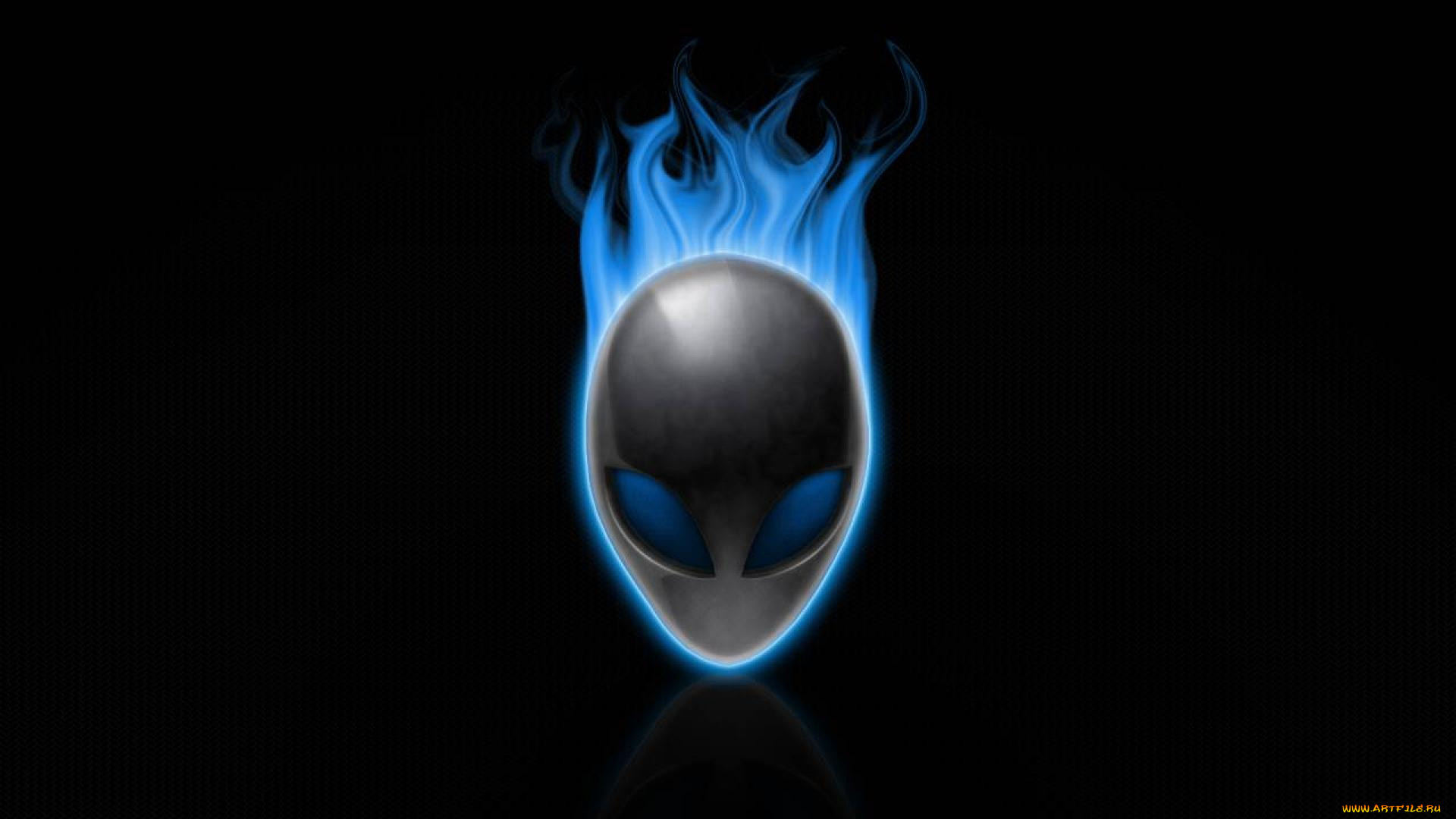 , alienware, , 